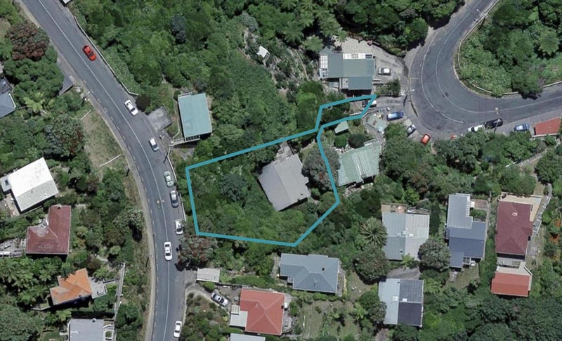 19 Balfour Street, Mornington, Wellington - Carousel 1