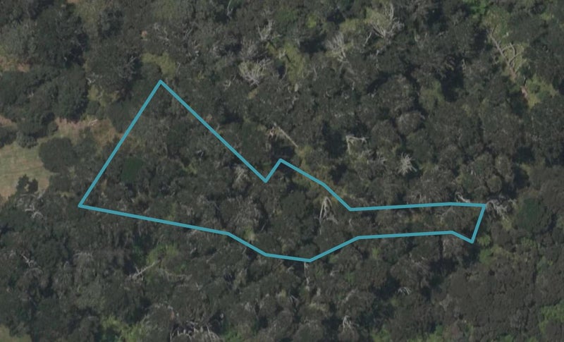 5 Horizon View Place, Mangawhai Heads, Mangawhai - Carousel 1