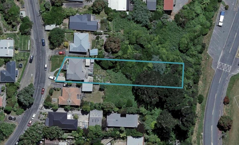 58 Balfour Street, Mornington, Wellington - Carousel 1