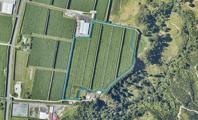 419 Joyce Road, Pyes Pa, Tauranga - Carousel 1
