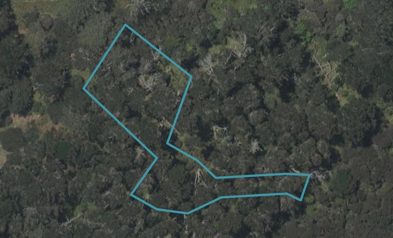 4 Horizon View Place, Mangawhai Heads, Mangawhai - Carousel 1