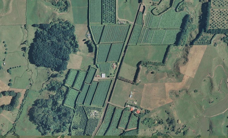 188 Mccarthy Road, WAIOTAHE, OPOTIKI - Carousel 1