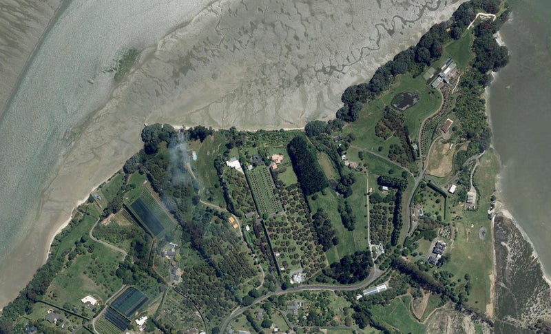 315 Pahoia Road, Whakamarama, Tauranga - Carousel 1