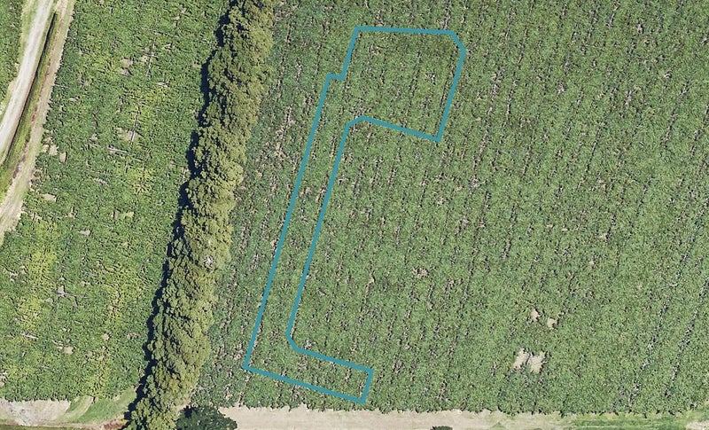 2 Tanuku Lane, Te Puke, Te Puke - Carousel 1