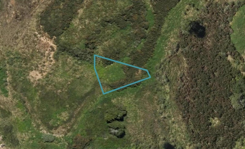 7 Sawgrass Rise, Te Kamo, Whangārei - Carousel 1