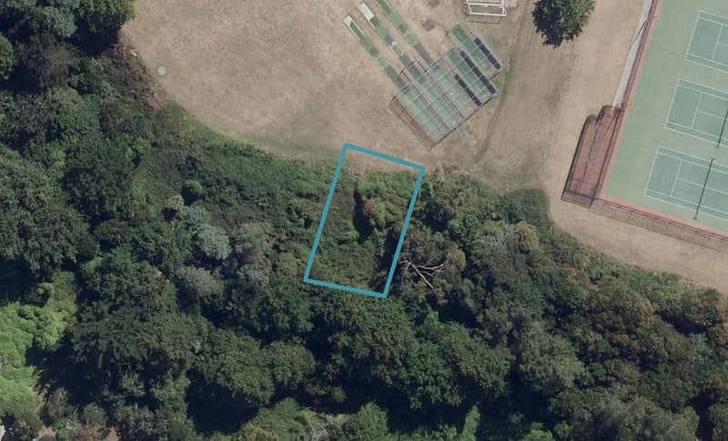 10 Kawakawa Place, Hillcrest, Hamilton - Carousel 1