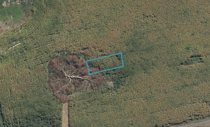 2/6 Celeste Terrace, Peacocke, Hamilton - Carousel 1