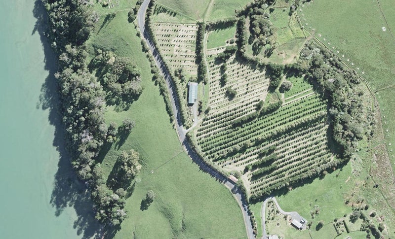 332 Ridge Road, Mahurangi East, Warkworth - Carousel 1