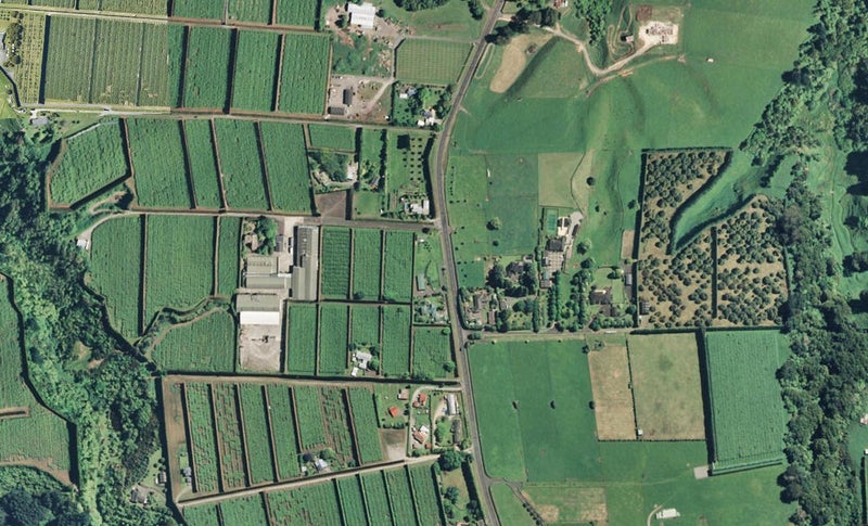 830 Oropi Road, Oropi, Tauranga - Carousel 1