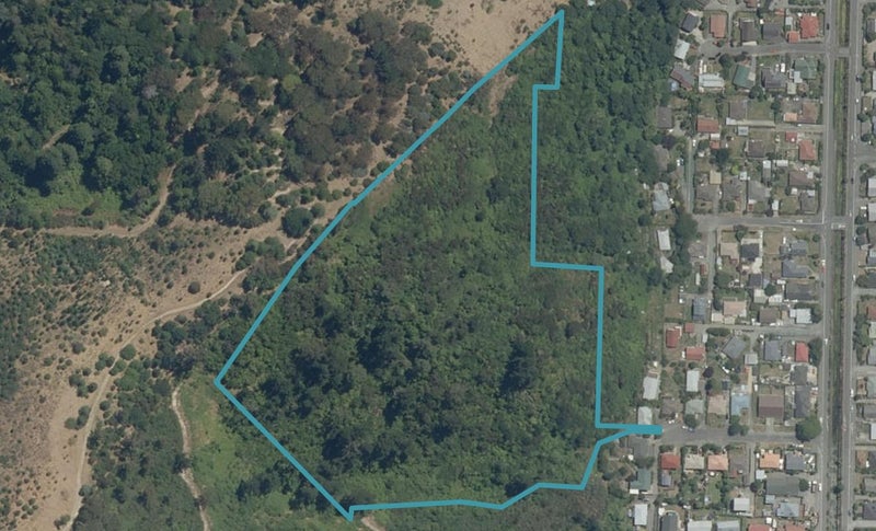 20 Hinau Street, The Brook, Nelson - Carousel 1