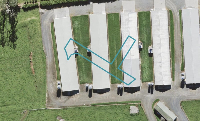 106 Hornbeam Road, Westgate, Auckland - Carousel 1
