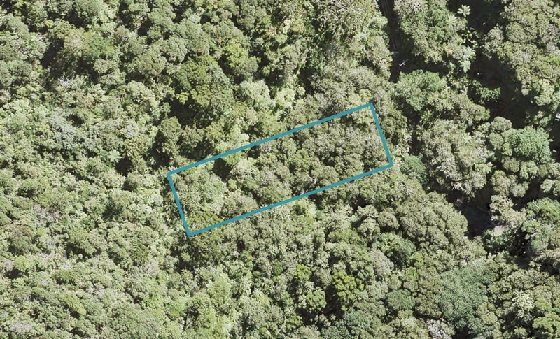 87 Lone Kauri Road, Karekare, Auckland - Carousel 1