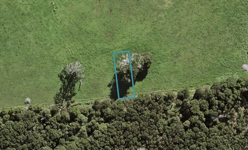 54 Te Aniwaniwa Terrace, Albany, Auckland - Carousel 1