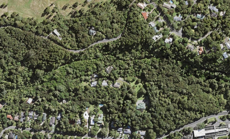 7A Waima Crescent, Titirangi, Auckland - Carousel 1