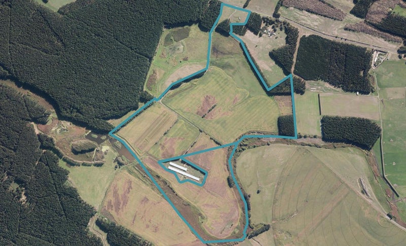295 Forest Road, Parewanui, Tangimoana - Carousel 1