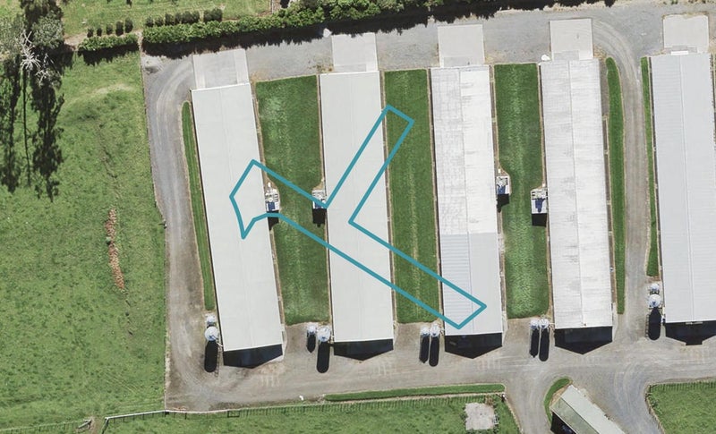 112 Hornbeam Road, Westgate, Auckland - Carousel 1