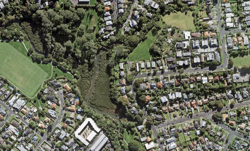 34 Parawai Crescent, Ponsonby, Auckland - Carousel 1