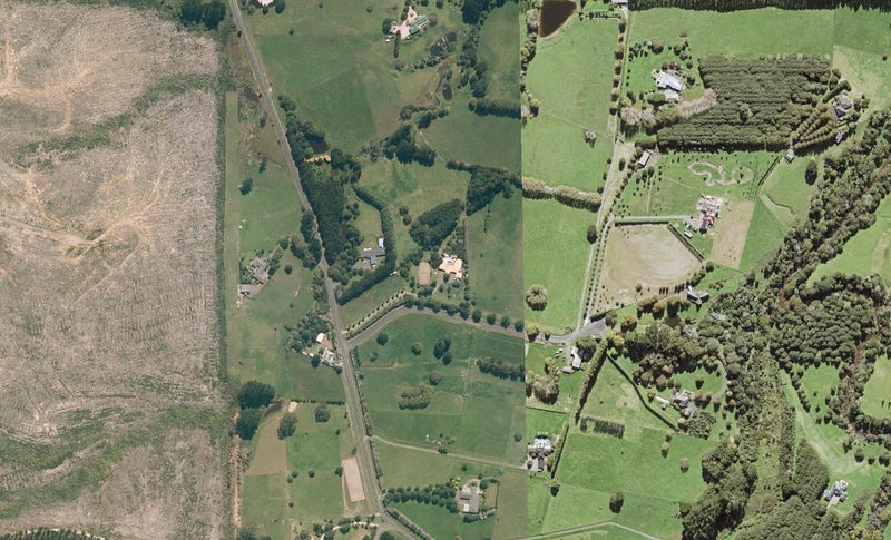 172 Mill Flat Road, Albany - Carousel 1