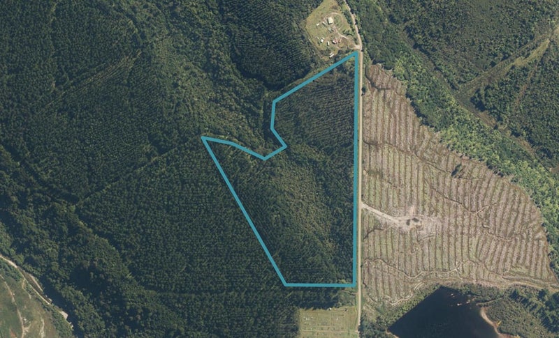 0 Greenstone Road, Kumara Junction, Greymouth - Carousel 1