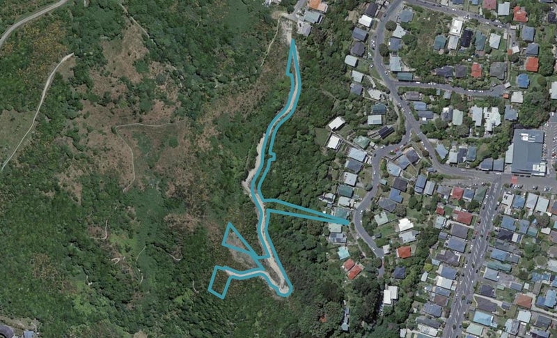 49 Ara Paekawakawa, Island Bay, Wellington - Carousel 1