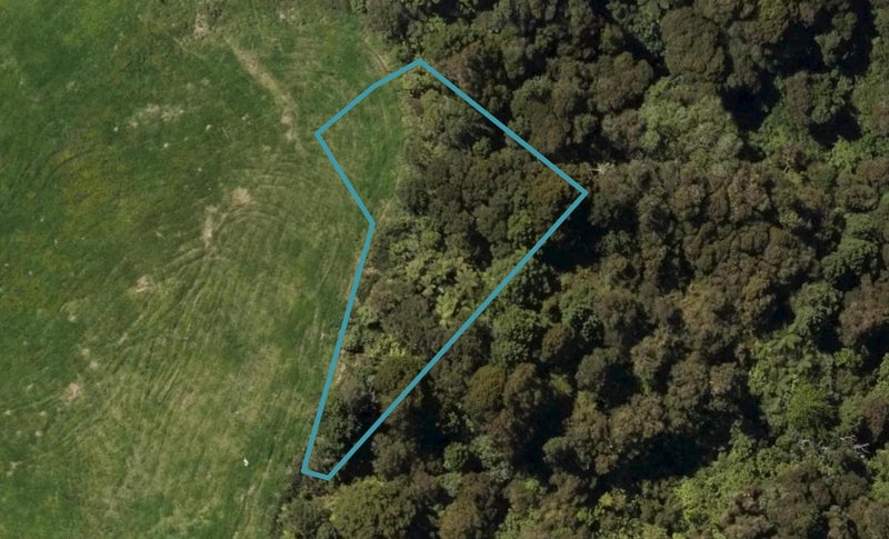 3 Maple Lane, Te Kamo, Whangārei - Carousel 1