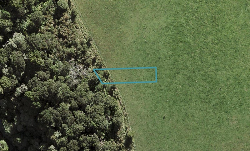 10 Te Aniwaniwa Terrace, Albany, Auckland - Carousel 1