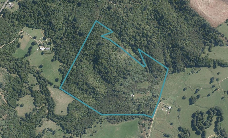 153 O'Neill Road, Whakapara, Hikurangi - Carousel 1