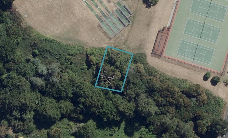 8 Kawakawa Place, Hillcrest, Hamilton - Carousel 1