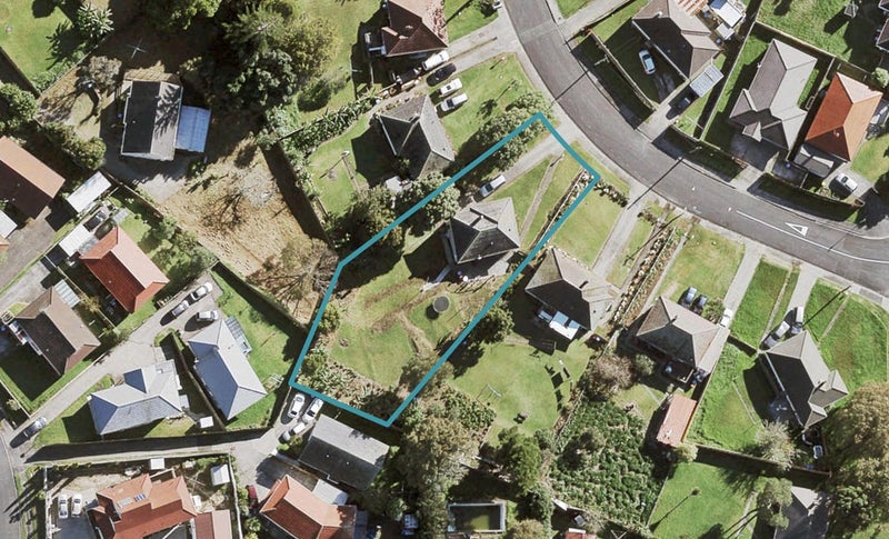 19 Skipper Avenue, Mount Roskill, Auckland - Carousel 1