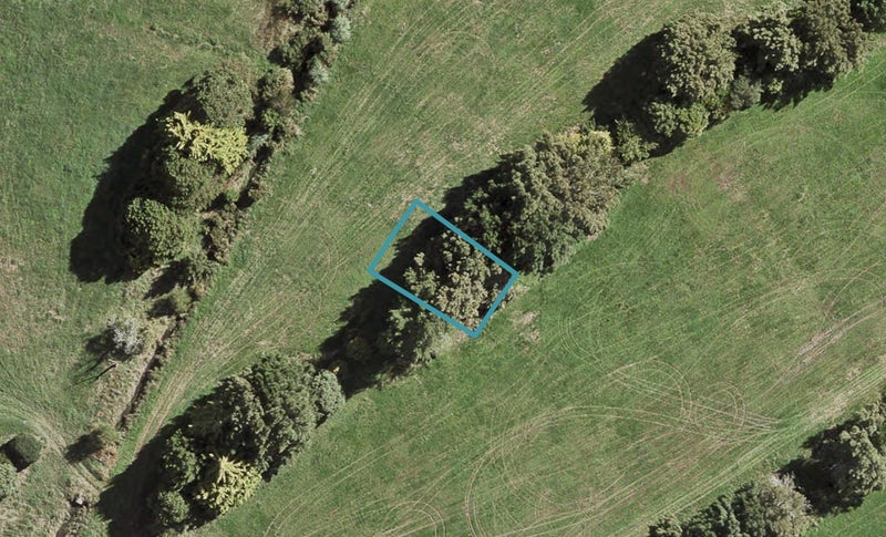 18 Putahi Crescent, OPAHEKE - Carousel 1