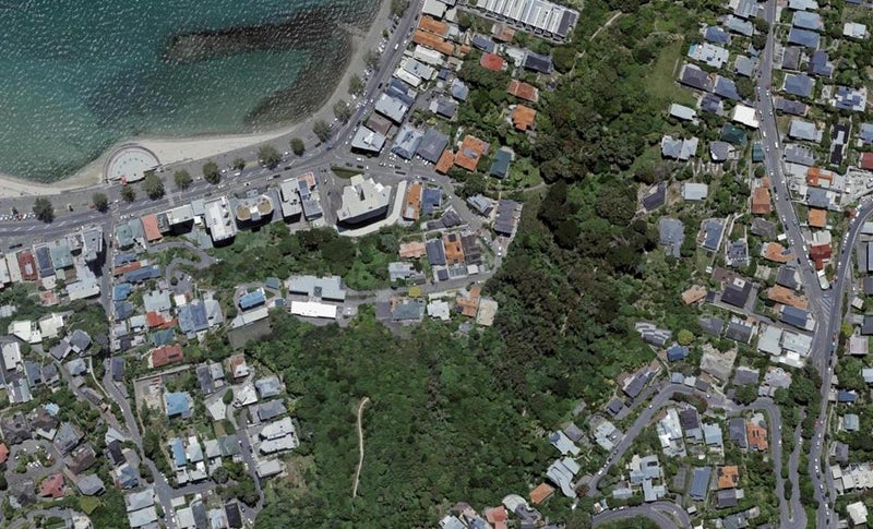 6 Wilkinson Street, Oriental Bay, Wellington - Carousel 1