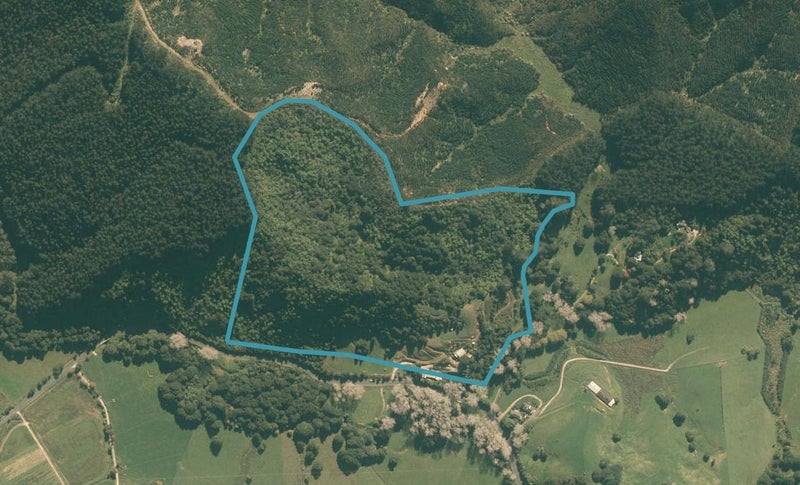 636 Kaipara Flats Road, Dome Forest, Warkworth - Carousel 1