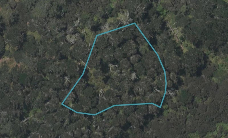 2 Horizon View Place, Mangawhai Heads, Mangawhai - Carousel 1