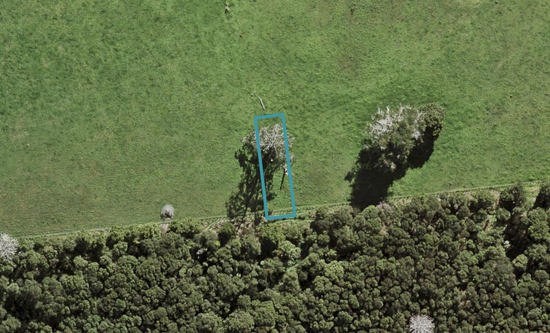 46 Te Aniwaniwa Terrace, Albany, Auckland - Carousel 1