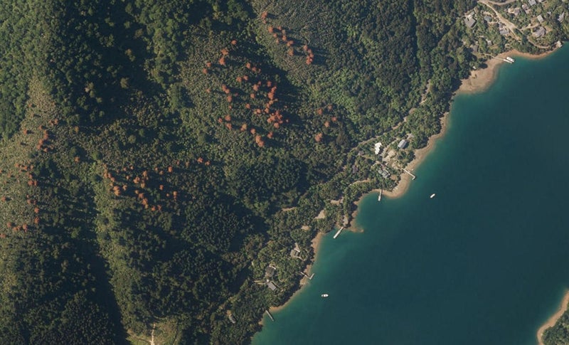 3136 Archers Road, TENNYSON INLET - Carousel 1