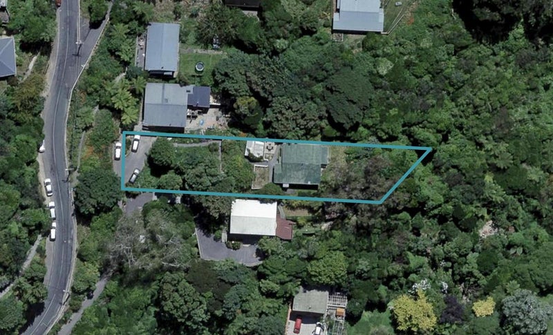 28 Balfour Street, Mornington, Wellington - Carousel 1