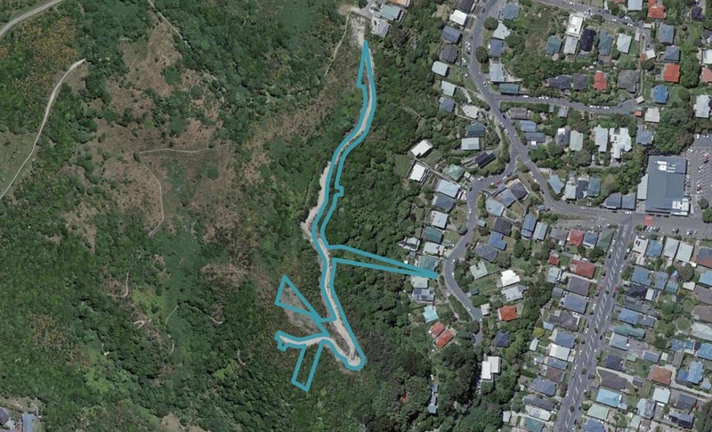 45 Ara Paekawakawa, Island Bay, Wellington - Carousel 1