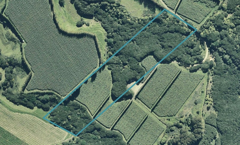 6490 State Highway 35, TE KAHA, Te Kaha - Carousel 1
