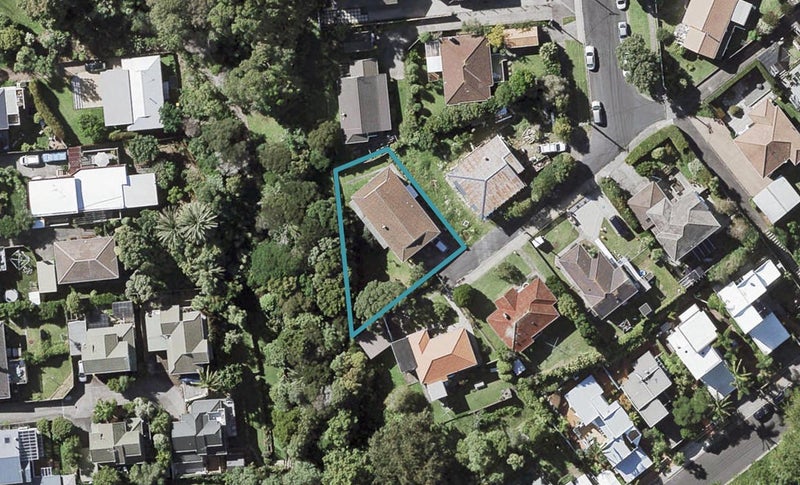 30A Niccol Avenue, Narrow Neck, Auckland - Carousel 1