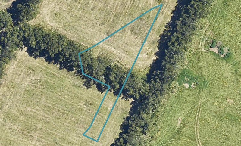 7 Tipa Lane, Papamoa Beach, Papamoa - Carousel 1