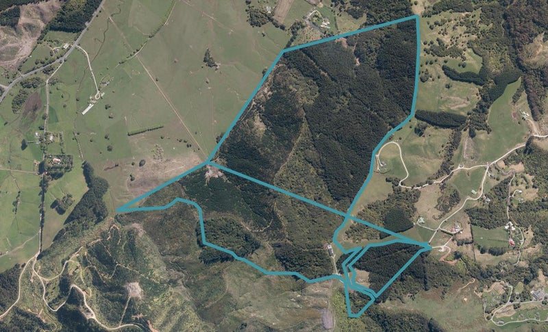 478B Wyllie Road, Warkworth, Warkworth - Carousel 1