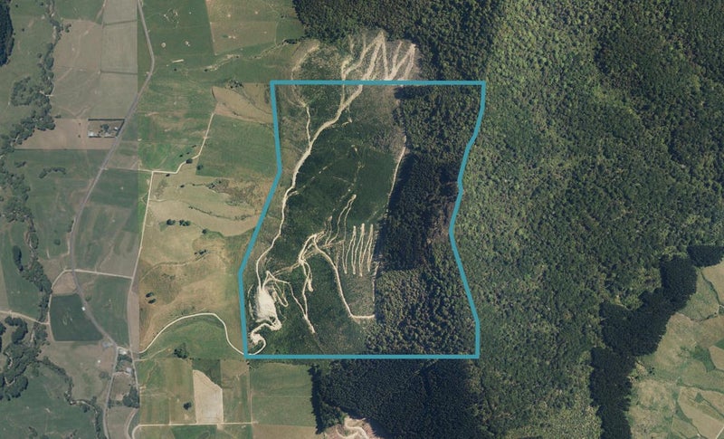 252 Ronga Valley, RAI VALLEY, Rai Valley - Carousel 1