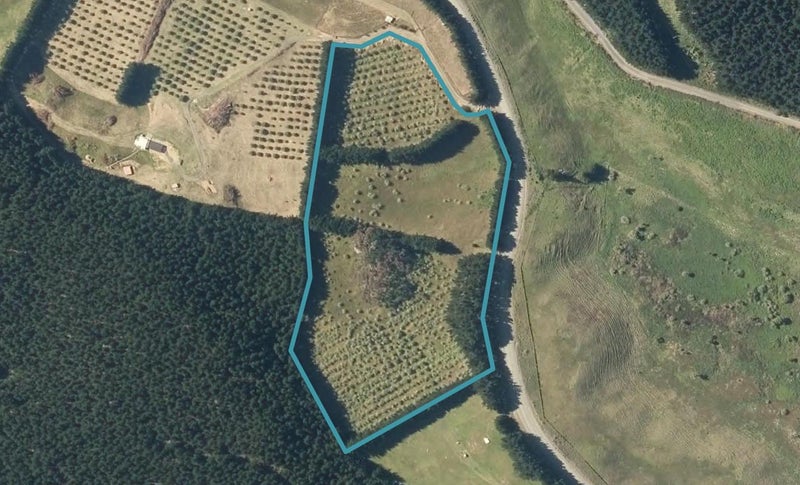 4500 Pouto Road, Te Kopuru - Carousel 1