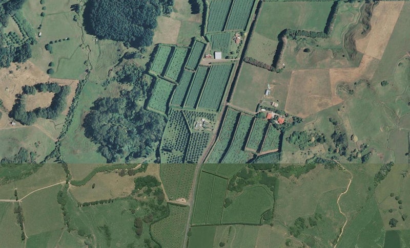 214 Mccarthy Road, WAIOTAHE, OPOTIKI - Carousel 1