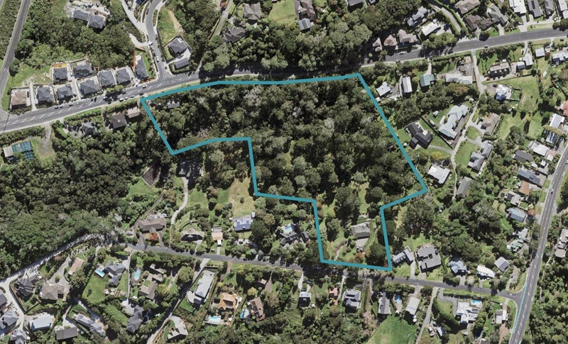 20 Bernard Magnus Lane, Greenhithe, Auckland - Carousel 1
