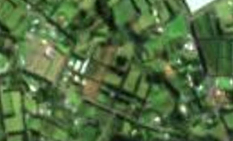 84 Waipapa Road, WAIPAPA, Waipapa - Carousel 1