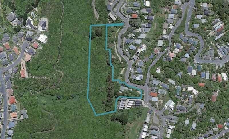 110 Mitchell Street, Brooklyn, Wellington - Carousel 1