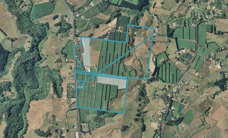 307 Wainui South Road, Whakamarama, Katikati - Carousel 1