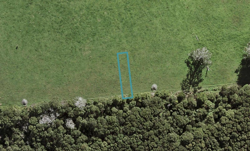 32 Te Aniwaniwa Terrace, Albany, Auckland - Carousel 1