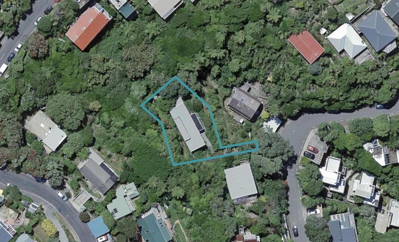 29 Koromiko Road, Aro Valley, Wellington - Carousel 1